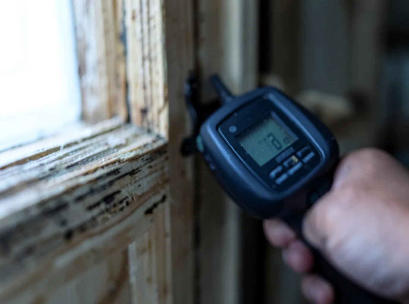 Moisture Inspection And Documentation in Tigerton, WI